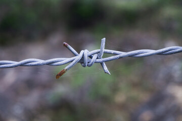 barb wires 