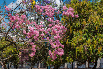 Quito, Ecuador, the city of the churches