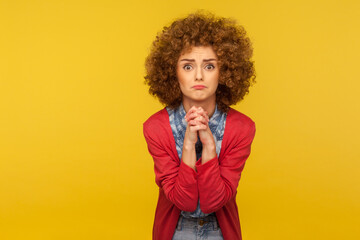 Please, I'm begging forgive! Portrait of upset worried woman with curly hair looking with imploring desperate grimace and praying for help, asking apology. studio shot isolated on yellow background