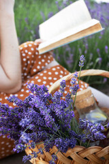 Provence - girl reading a book in a lavender field