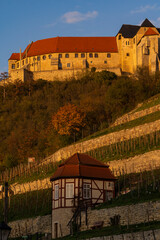 Herzoglicher Weinberg unterhalb von Schloss Neuenburg bei Freyburg, Burgenlandkreis,...