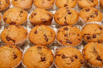 Brown chocolate cupcake with bits dessert