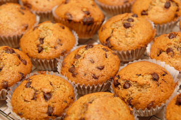 Brown chocolate cupcake with bits dessert