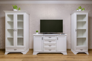 bookcases and TV in a fashionable apartment