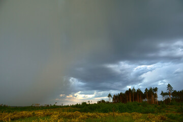 A dark gray rain cloud is moving over the pine forest, over which blue clouds hang