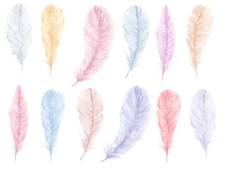 Hand drawn watercolor vibrant feathers set. Boho style wings feathers, illustration isolated on white background