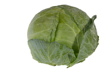 Fototapeta premium A large head of cabbage is shown in close-up.