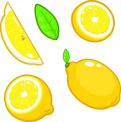 Vector lemons set illustration for kitchen or cafe restaurant menu logo concept