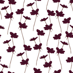 Chocolate cosmos seamless white backdrop