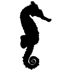 Sea horse black silhouette