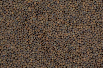 Marble Lentils. Legumes background.