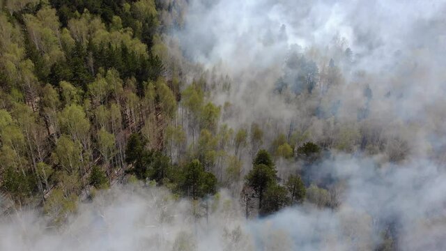 Top view of an invincible forest fire