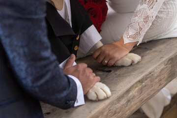 hands link with feeling