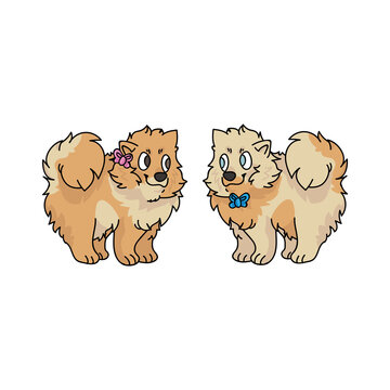 Cartoon Pomeranian Photos Royalty Free Images Graphics Vectors Videos Adobe Stock 'black pomeranian dog silhouette(s)' sticker by jenn inashvili. cartoon pomeranian photos royalty free