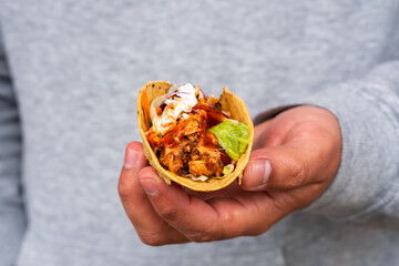 Mexican homemade taco burrito pulled pork with tomato salad  guacamole