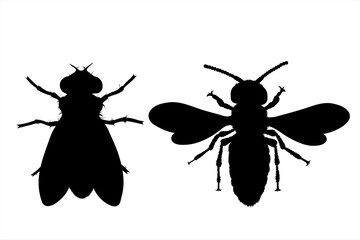 Set of vector silhouette of insect on white background. Symbol of annoy animals.