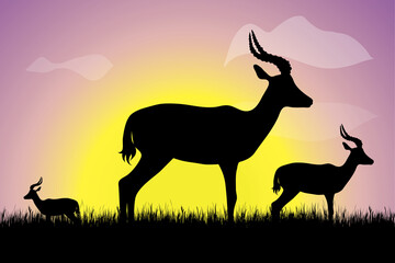 Fototapeta na wymiar Vector silhouette of group of antelops in the grass at sunset. Symbol of nature.