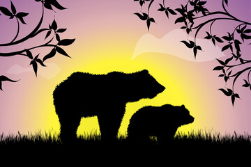 Vector silhouette of family of bear walking in the grass at sunset. Symbol of nature.