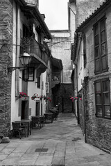 Casa con flores en un callejón oscuro