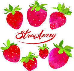 Vector set : red , ripe, fresh strawberries with green leaves. With hand written lettering and watercolor  texture. Isolated on white elements for colorful summer design of cards, posters, invitations
