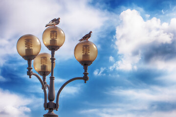 Street lantern with energy-saving lamps, on two lamps doves are sitting. Beautiful blue sky as...