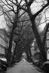 old street in the city in Amsterdam