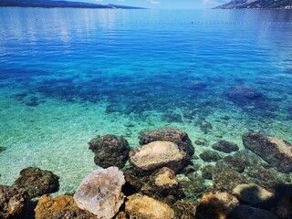 coral reef and sea