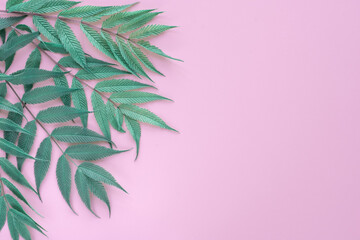 green leaves on pastel pink background, Flat lay