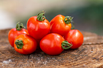 Group of ripened tasty red raw strawberry tomatoes on wood on green natural background, tasty healthy vegetables still life