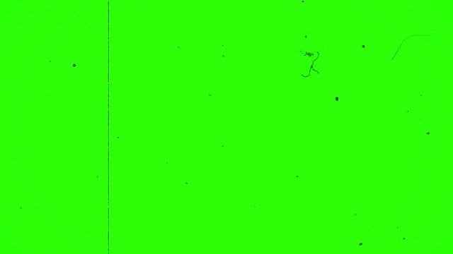 Film Grain Stock Video In Green Screen.