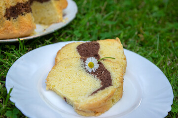 Gugelhupf in green grass, very tasty edible two-colored Czech sweet cake called babovka, ready to eat, daisy flower, tea break