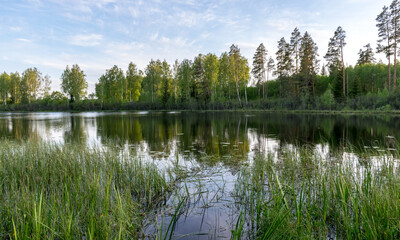 Fototapeta na wymiar summer landscape with a lake and green trees on the lake shore
