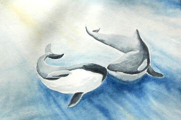 water color marine art with couple killer whale