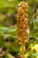 Streifzug duirch das Warmtal in Oberschwaben