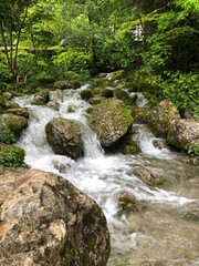 Fototapeta premium The City Of Sochi. Russia. Sea. culture of Russia. Sights and nature of Sochi. Krasnodar region. 