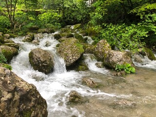 Fototapeta premium The City Of Sochi. Russia. Sea. culture of Russia. Sights and nature of Sochi. Krasnodar region. 