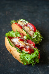 Two hot dogs with different fillings on a dark background. Hot dog with vegetables, bacon and sausage.