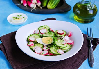 Summer salad with radish, cucumber and boiled egg in a white plate