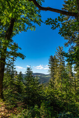 Wandern | Schopf im Bayerischen Wald | Gipfelkreuz