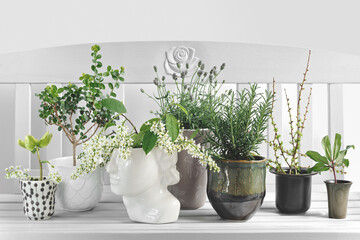 Rosemary, Lavender, blooming Hagberry and Larix branches in ceramic pots.