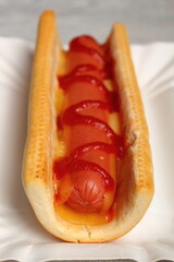 Hot Dog with Ketchup