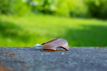 Fragments of white and brown broken glass laying on concrete with selective focus and green bokeh