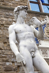 The David sculpture in Florence