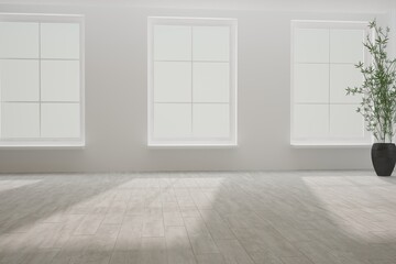 modern empty room with plant in black pot interior design. 3D illustration