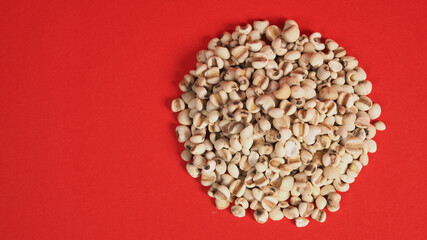 Job's Tears, also known as adlay and coix on red background. Popular in Asian cultures as a food source.