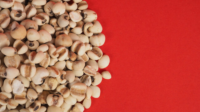 Job's Tears, also known as adlay and coix on red background. Popular in Asian cultures as a food source.