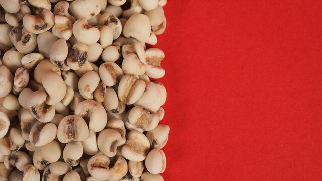 Job's Tears, also known as adlay and coix on red background. Popular in Asian cultures as a food source.