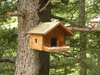 wooden bird house