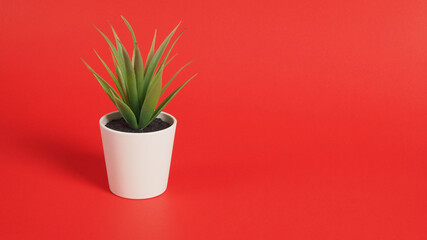 Artificial cactus plants or plastic or fake tree isolated on red background.