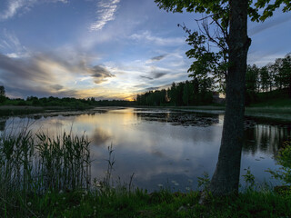 image with a beautiful colorful sunset over the lake, in the foreground the contours of trees and grass, Lielais Ansis, Rubene, Latvia
